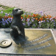 Памятник бездомной собаке фотографии