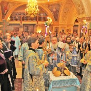 Знаменский кафедральный собор города Тюмень фотографии