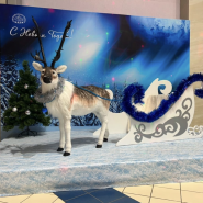 Новогодняя программа «Снежная королева» в Тюменском цирке 2025 фотографии