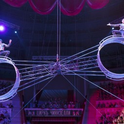 Цирковая программа «Наш добрый цирк»