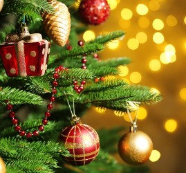 Новогодняя программа «MOROZ 20–19»