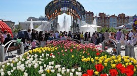 Тюмень за один день: маршрут от старого города к Туре