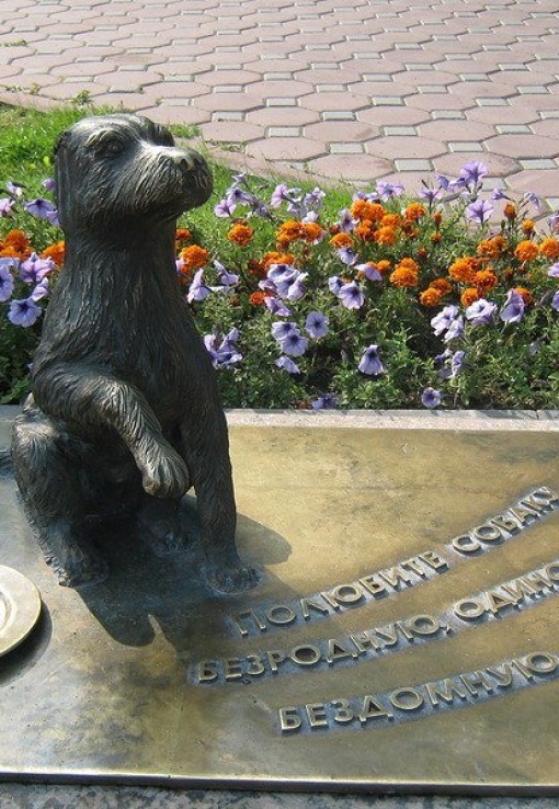 Памятник бездомной собаке