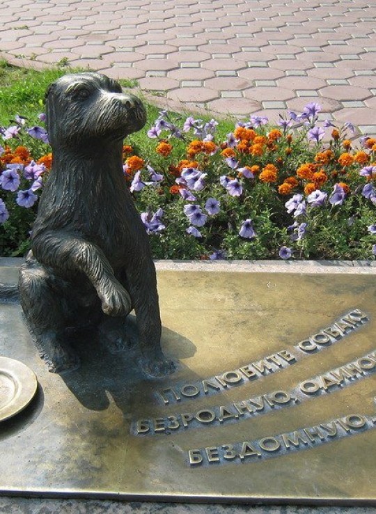 Памятник бездомной собаке